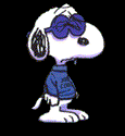 Joe Cool