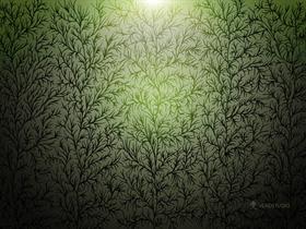 5 trees