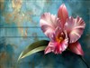 Simply Orchid by: Sed