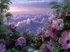 Path Through the Pink