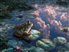 Sky Reflection