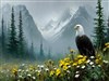 Watching by: Sed