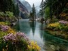 Early September by: Sed