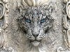 That Cat by: Sed