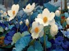Last of my Blooms by: Sed