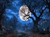 St Andrew Cemetary by: Sed