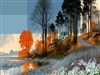 Jason Creek by: Sed