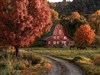 Middlefield Horses  by: Sed
