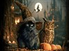 Percy N Hoot by: Sed