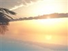 Blissfull Evening by: BX