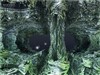 ALIENCAVE 3D by love1008 by: cacbig
