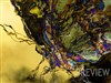 Opal butterfly by: sydneysiders