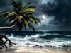 A tropical beach