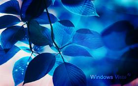 Window Vista - The Blue Version