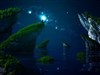 Beauty of the Night Sky by: DEVJIT