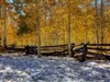 Fall into Winter by: ernie leo