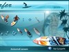 Net Surfer #summerofcfx by: Libardo