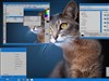 Windows 2027 by: Fuzzy Logic