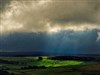 Pastoral by: Fuzzy Logic