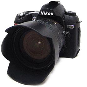 SIA's Nikon D70