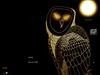 PueoDXL1280ST by: Lono358