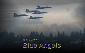 U.S. Navy Blue Angels