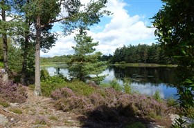 North England Summer Lake