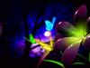Efflorescence (WS) by: narbytrout