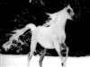 yer by: loukeeya