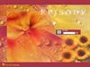Sunflower by: Velvetelle
