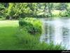 Lake Scene by: JESUSFRK