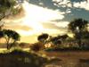 summer morning #9 summer by: philmar83