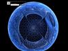 Blue Orb by: hallv5