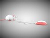 Mouse Vs Mouse by: Sc4rfy