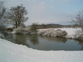 Snow Scene