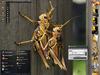 Mutant Insects by: Deea19