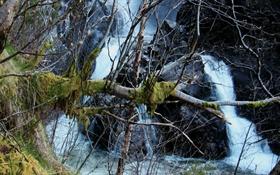 Waterfall in Nature-II