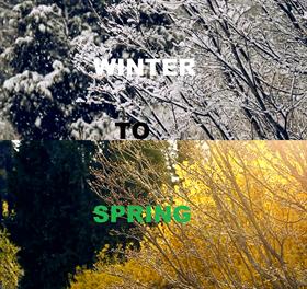 Seasons-Winter to Spring