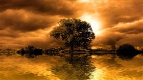 Beautiful_Golden_Sunset