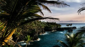 Blue_Palm_Seascape