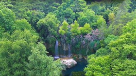 Hidden Forest Falls