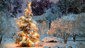 Winter Christmas Tree1