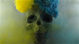 4K Smoky Skull