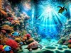 4K Sea Life by: AzDude