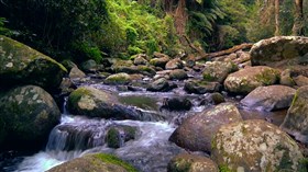River Rock