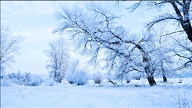 Winter Scape Snowfall