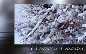 Winters Canvas