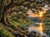 4K Oak River by: AzDude