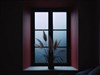 Minimalistic Window