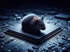 Computer Mouse by: JanOscar